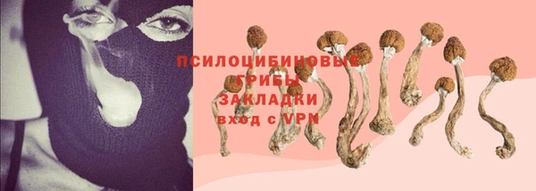 стаф Балабаново