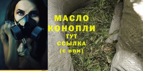 гашик Пестово