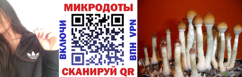 Галлюциногенные грибы MAGIC MUSHROOMS  shop Telegram  Бирск 